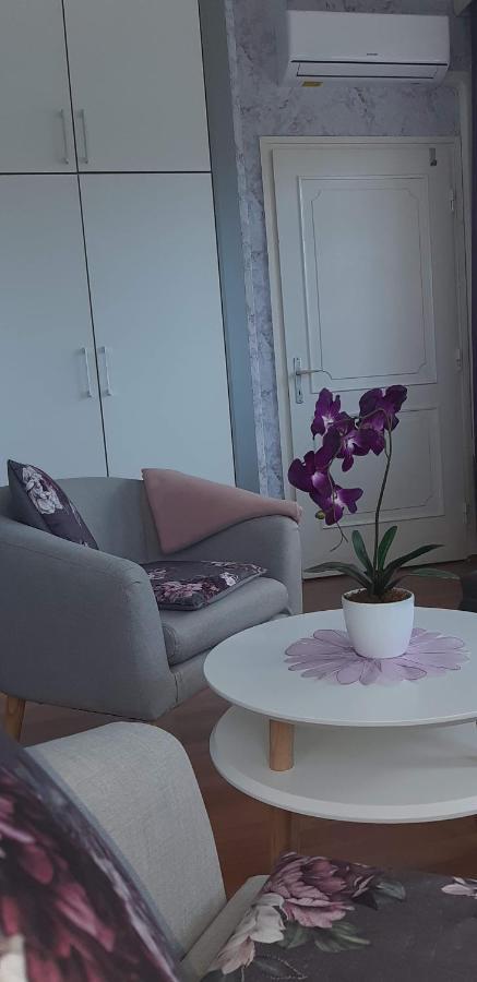 Lila Ház Apartamento Harkány Exterior foto